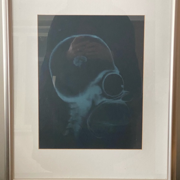 Homer Simpson XRay in picture frame - Picture 6 of 6